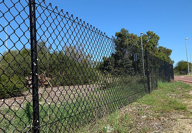 PVC Coated Chain Link Fence