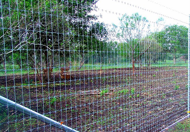 Hinged Joint Stock Fence