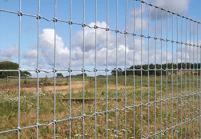 Horse Stock Fence