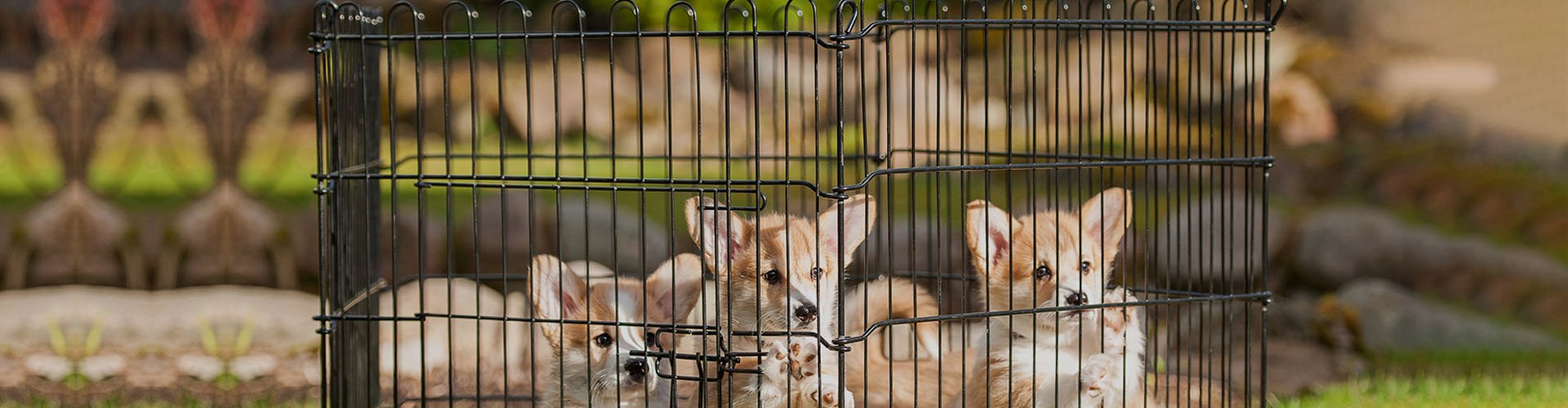 Puppy Fence