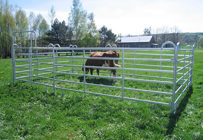 Galvanized Farm Fence