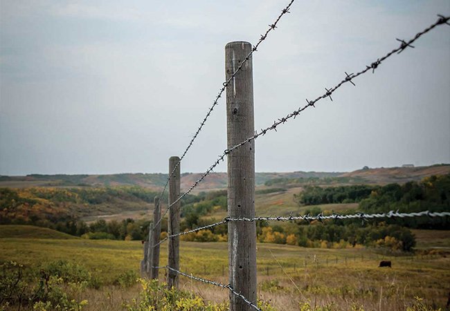 Double Strand Barbed Wire Fence