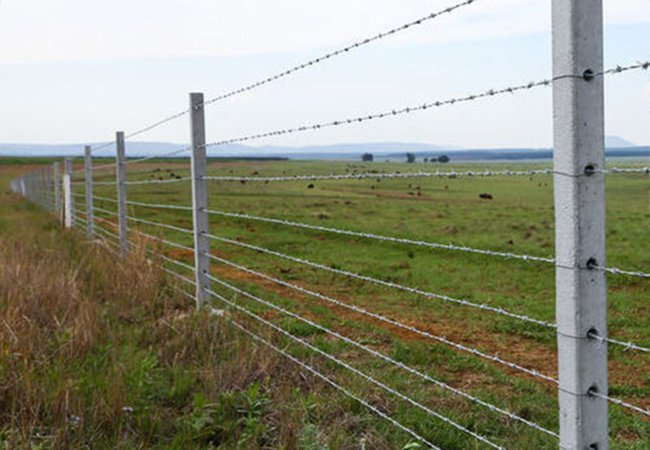 Barbed Wire Safety Fence
