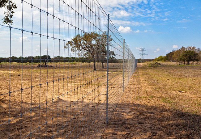 Farm Fence Supplier in China -BDFENCE