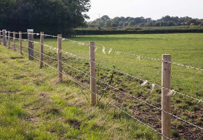 Single Strand Barbed Wire Fence