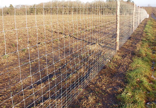 Farm Fence