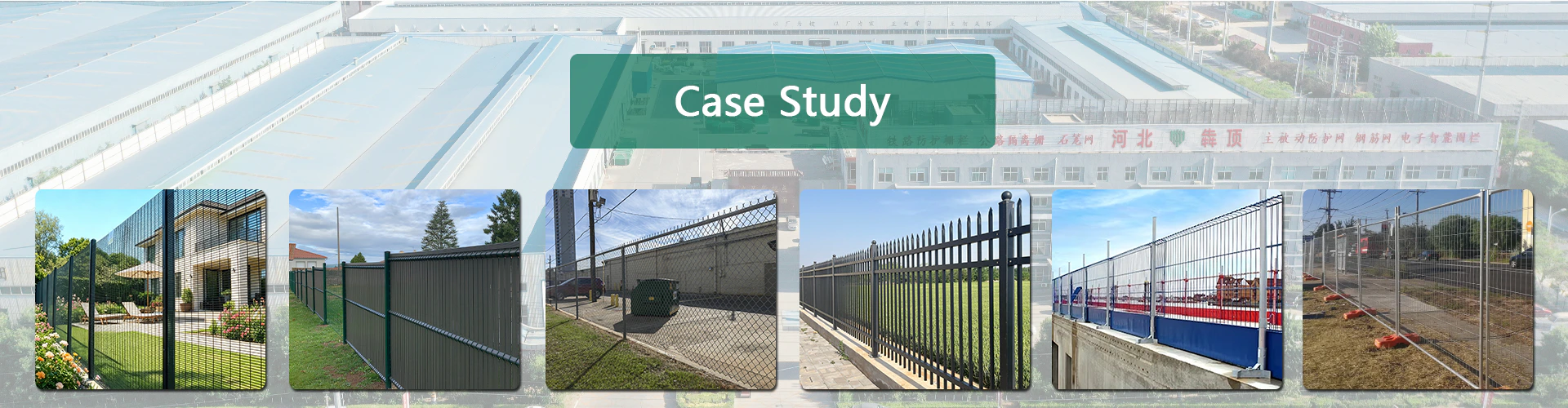 Case Studies